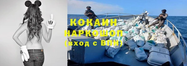 индика Армянск