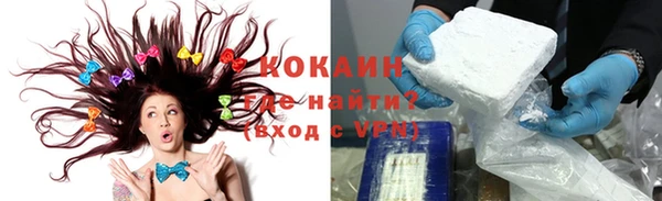 ПСИЛОЦИБИНОВЫЕ ГРИБЫ Арсеньев
