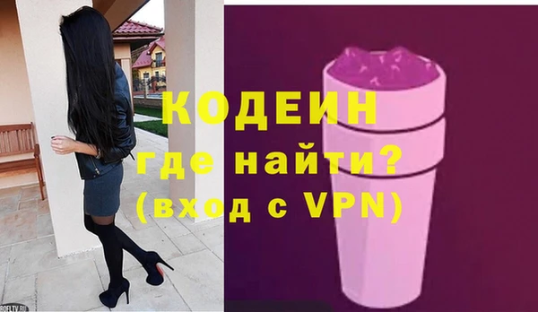 индика Армянск