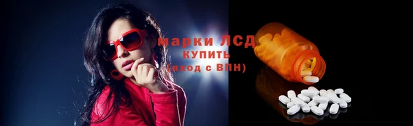 ПСИЛОЦИБИНОВЫЕ ГРИБЫ Арсеньев